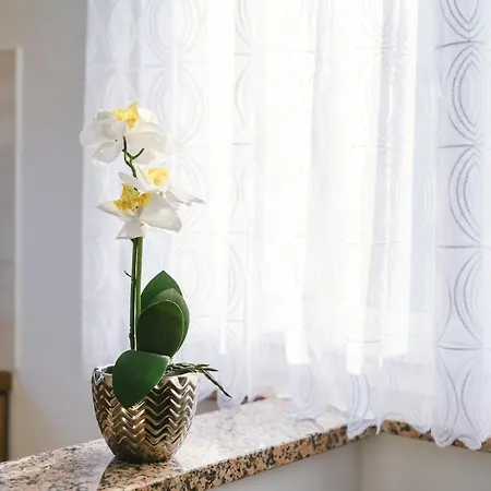 Mirela