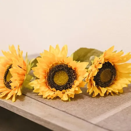 Mirela Διαμέρισμα